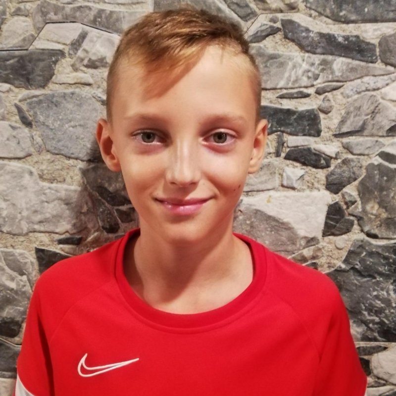 DARIUS NICOLAS ARDELEANU