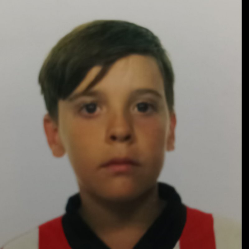 MANUEL PALACIOS GOMEZ