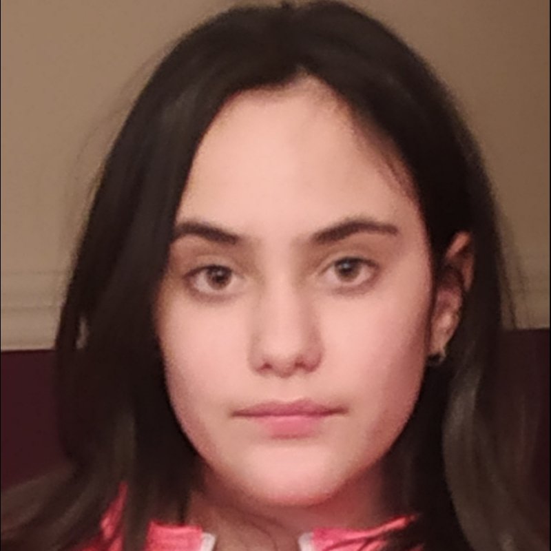 ANDREA GAMBRA SANTOS