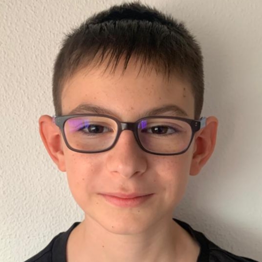 ALIN GABRIEL BRINZICA