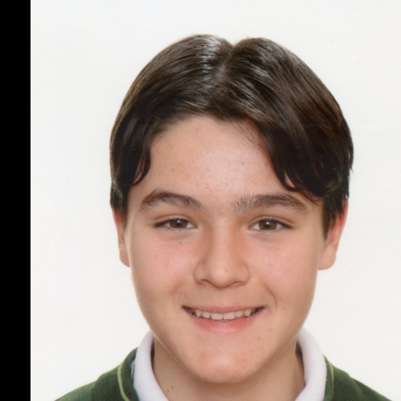 SERGIO  SANZ LECIÑENA