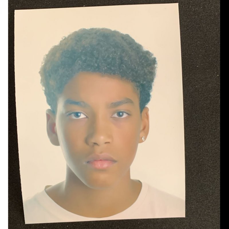 ALBERTO ESTEVES ALFRED