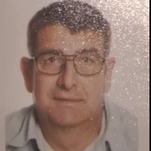 ALBERT TEIXIDOR OLIVER 