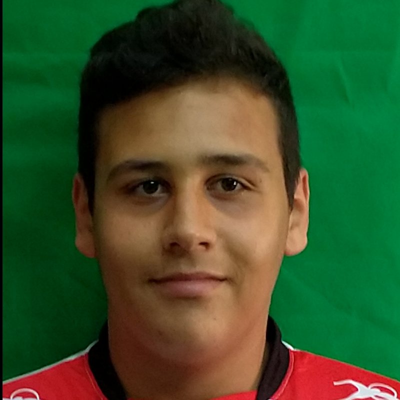 CARLOS MARTINEZ ANDRES