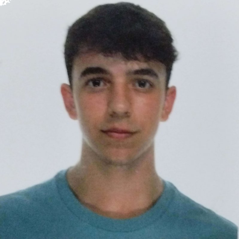 ALVARO PALAU ALEGRIA