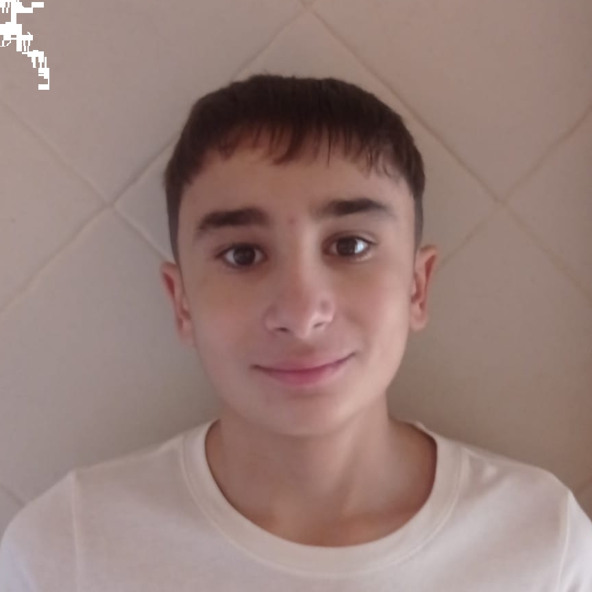 CARLOS ALISEDA PINTADO