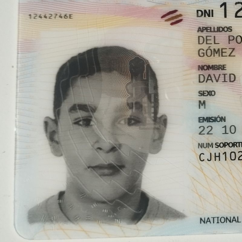 DAVID DEL POZO GOMEZ