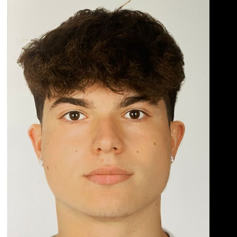 DIEGO FRAILE REVUELTA