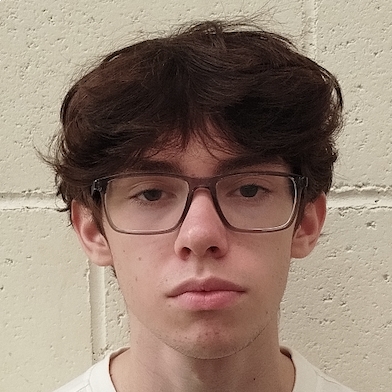 DANIEL ARNELA VERJANO