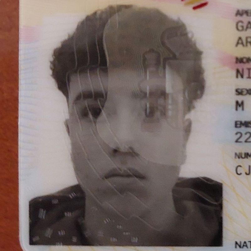 NICOLAS GARCIA ARENALES 