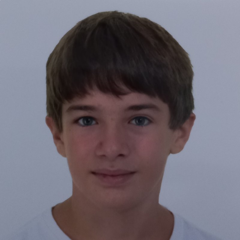 JAVIER AMICHIS VILLANUEVA