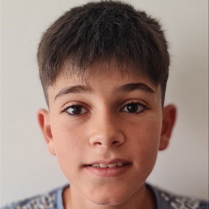 DIEGO PEREZ MARTINEZ