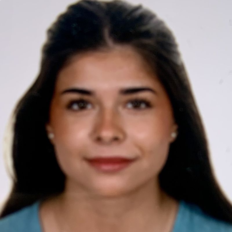 LAURA ANTOLIN DOMINGUEZ