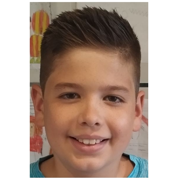 DANIEL GOMEZ  ALVAREZ