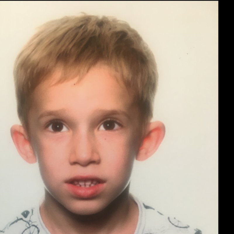 EZRA LAWRENCE CHAPMAN