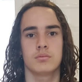 SAUL MIRALLES TOLEDO