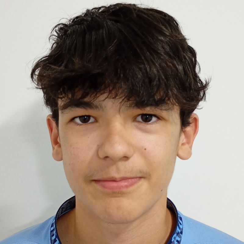 ANDRES RODRIGUEZ CHAUSA