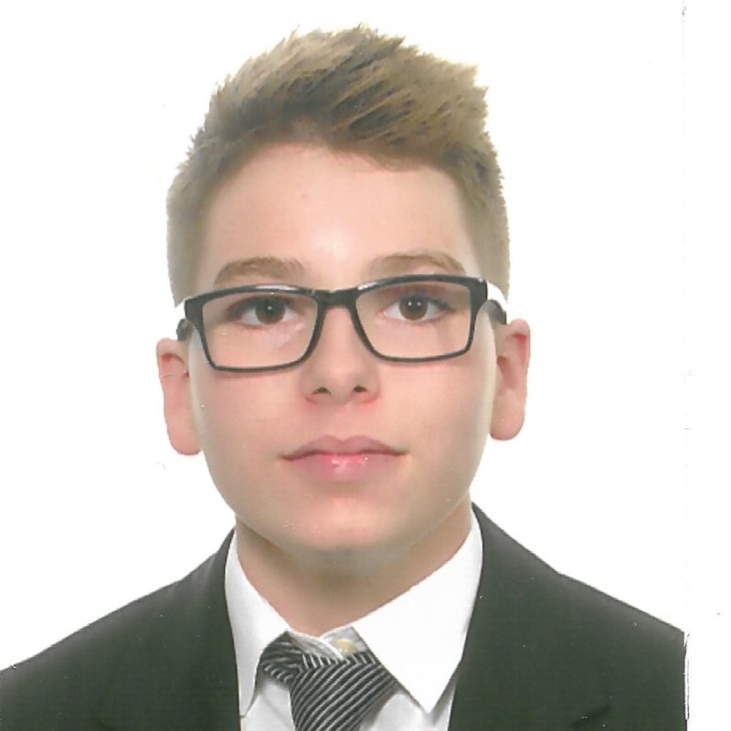 ALEIX GOZALBO PIÑANA