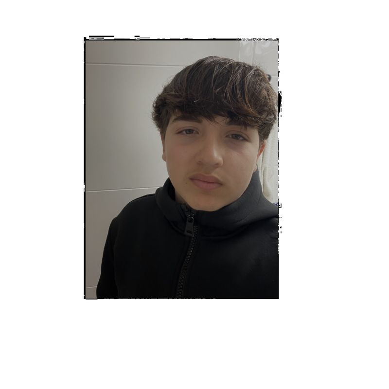 MARIO CRESPILLO PEREZ 