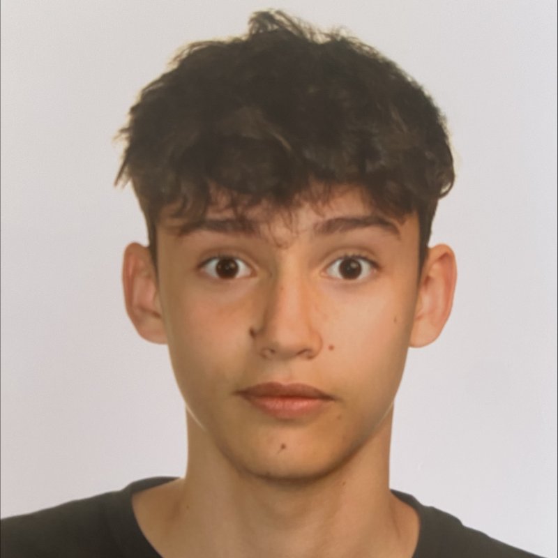 JAVIER ROLLAN GARCIA 