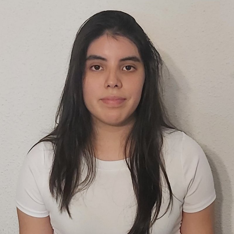 FLAVIA ALESSANDRA VASQUEZ GUTIERREZ