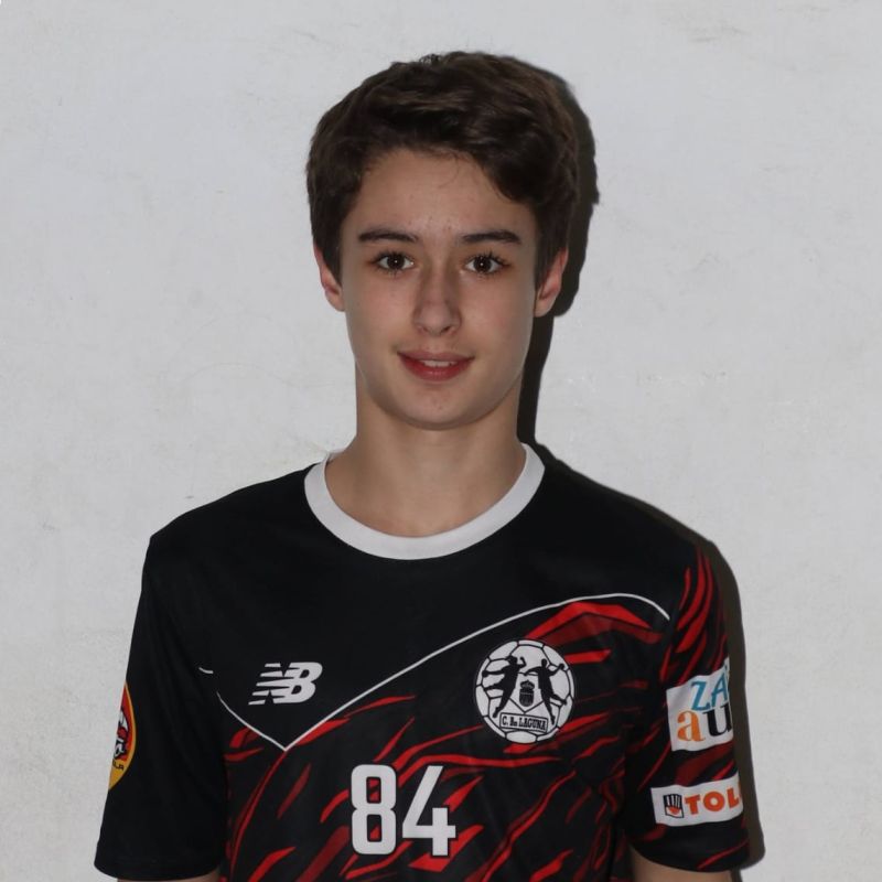 PELAYO REVUELTA CARMONA