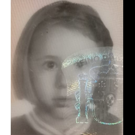 DIANA FERNANDEZ RIVEIRO