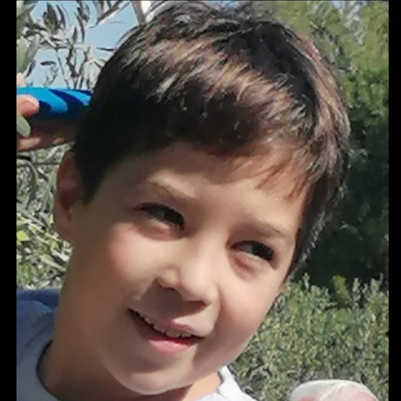 ALBERT  DE ROCA VILARDEBò