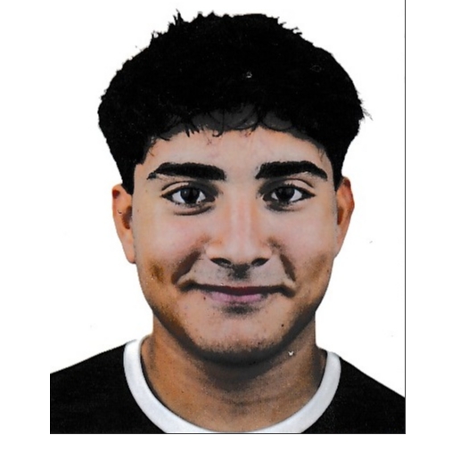 CARLOS JAVIER  CASTILLO VILLALBA 