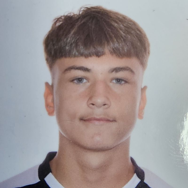 LAURENTIU NICOLAS FERARI FALCICA