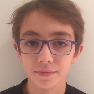 JAVIER VICENTE COMPANY