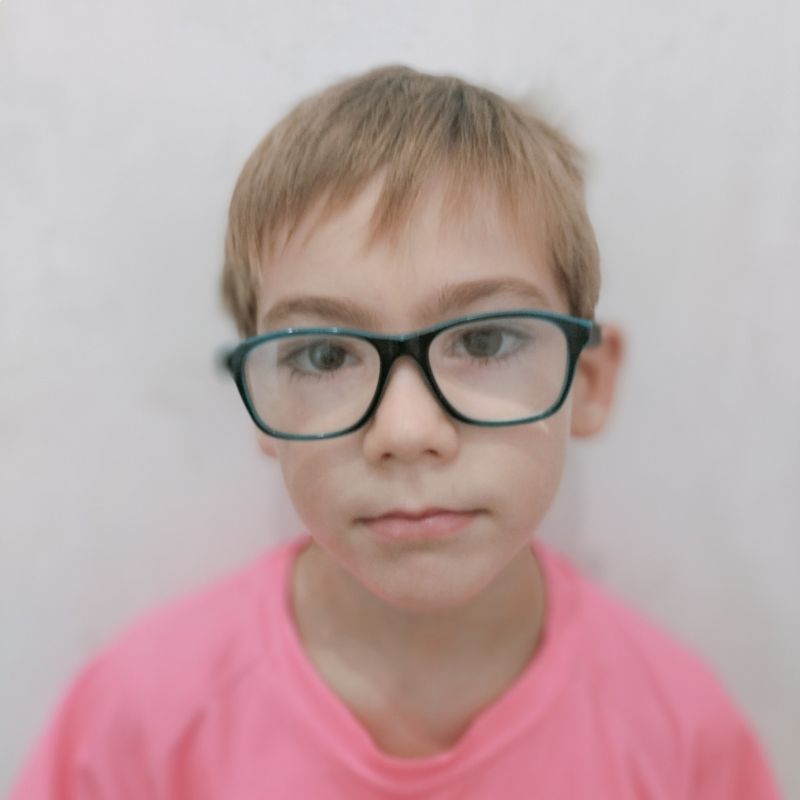 ALEU CASTELLA SALADA