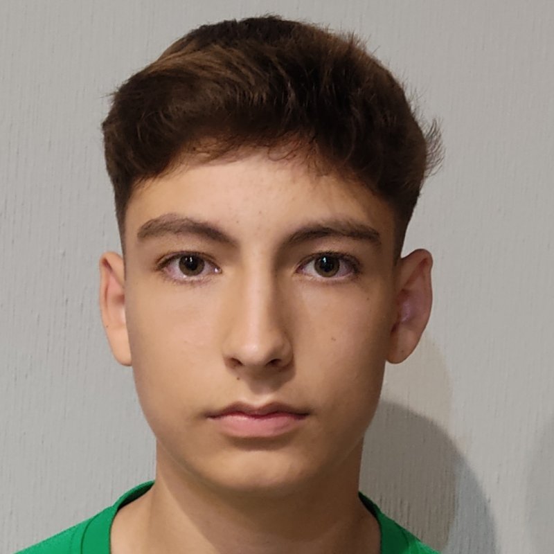 ALVARO  CUENCA BERZOSA 