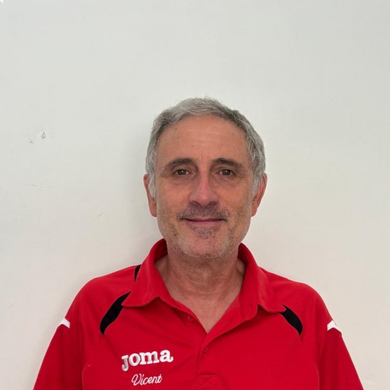 VICENTE JAVIER PEREZ VIDAL