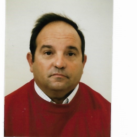 MIGUEL ANGEL GOSALBEZ LARIOS