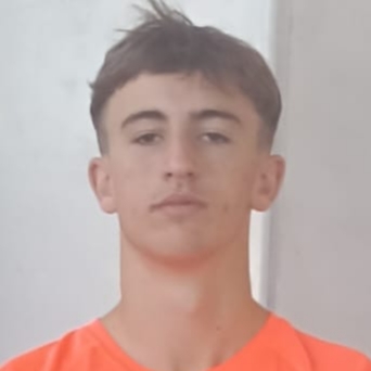 LUIS HIDALGO DOMINGUEZ