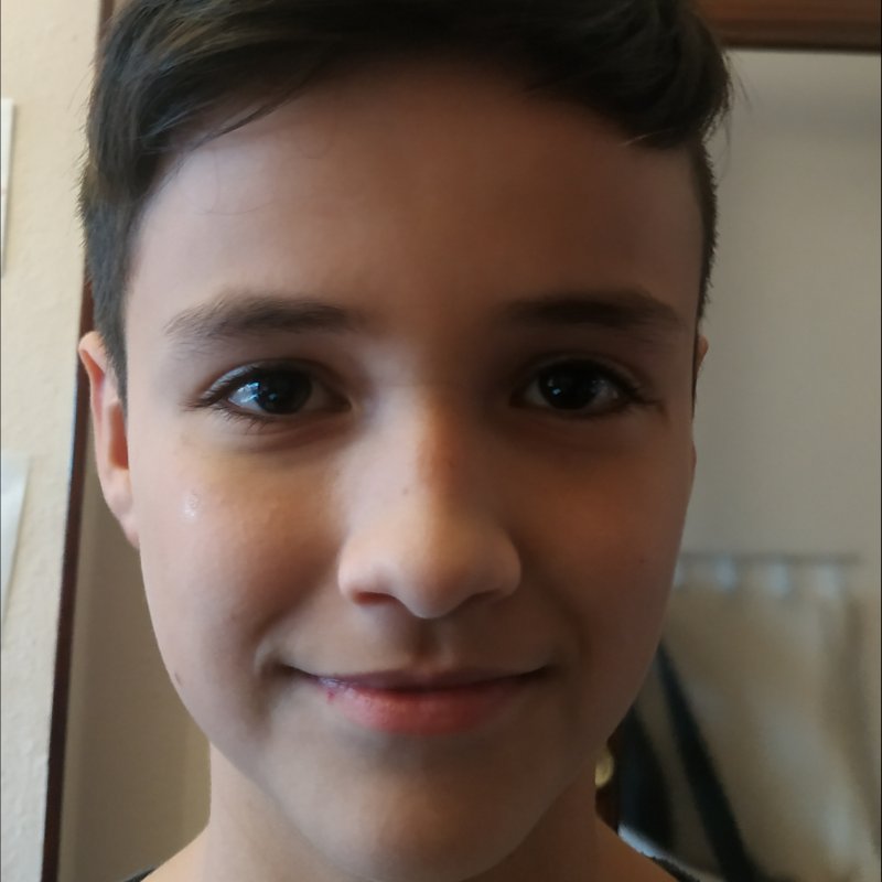 FELIPE CORTES GONZALEZ