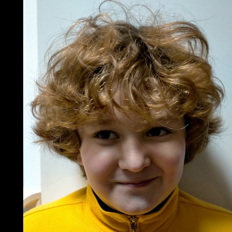 JULIO LLAMAS BORREGO