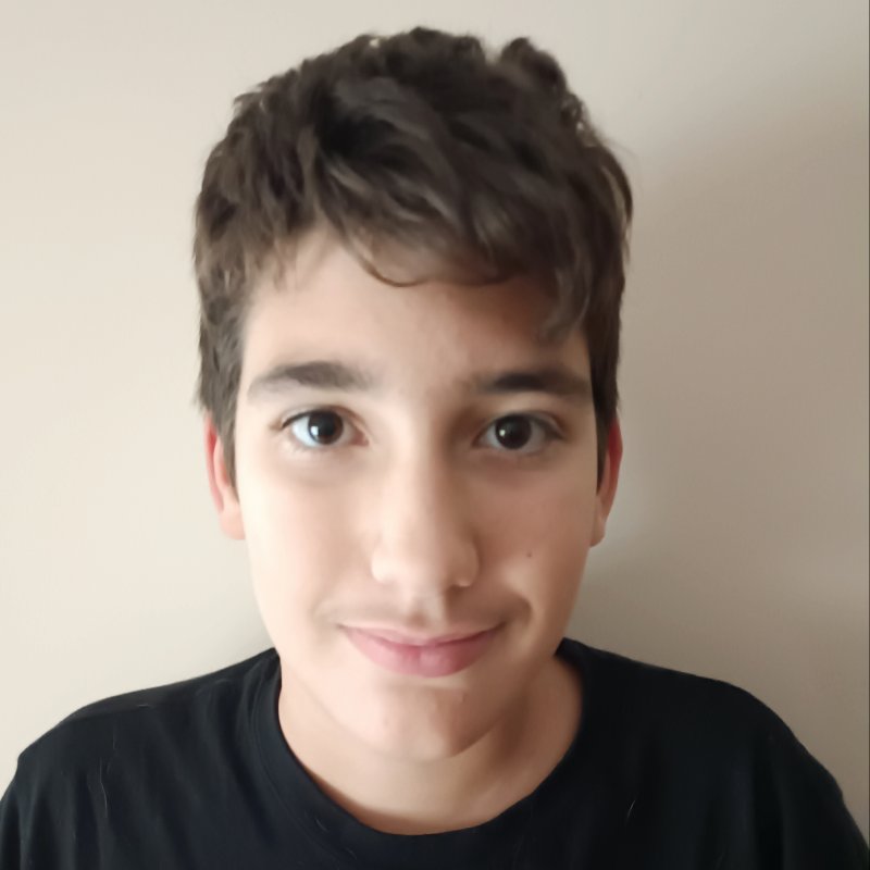 RAUL  FRUTOS HERNANDEZ 