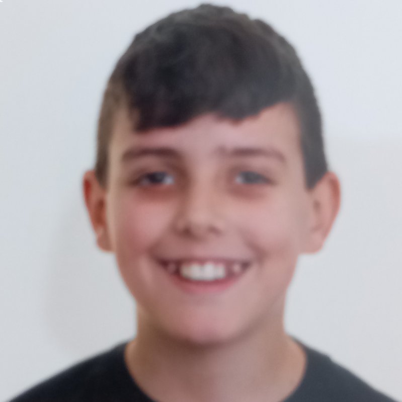 ANTON DOMINGUEZ GOÑEZ