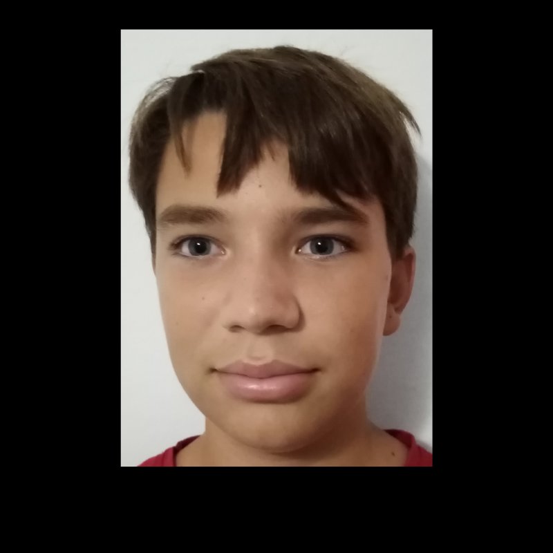 BRUNO PASTOR DIAZ
