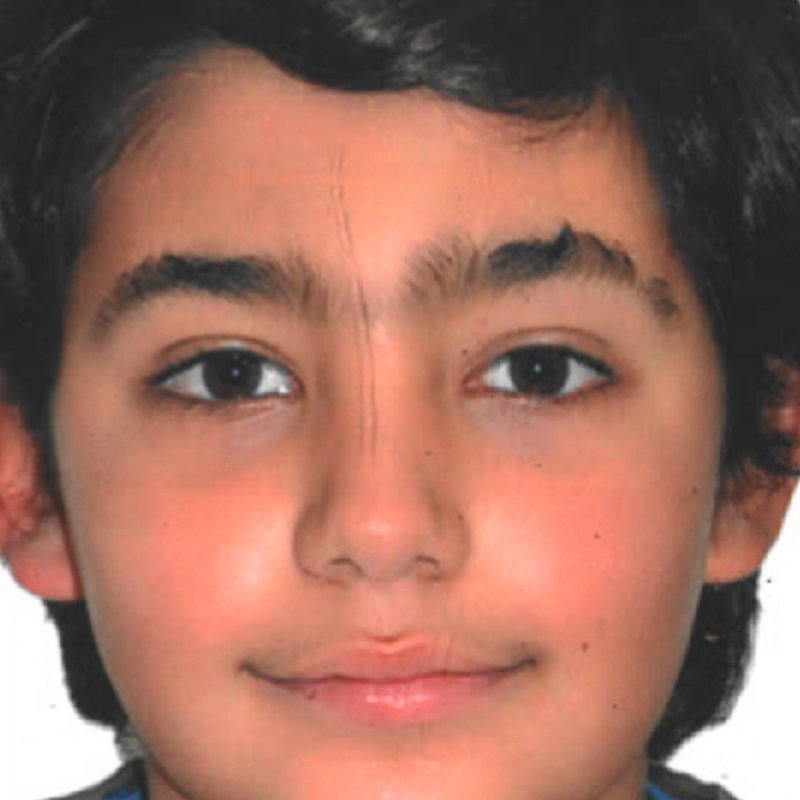 DIEGO DOMINGUEZ GONZALEZ