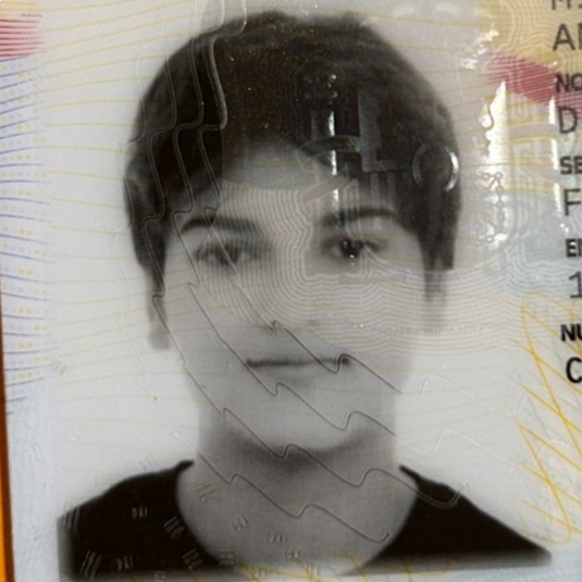 DULCINEA LUCIA MILLAN AMBROA