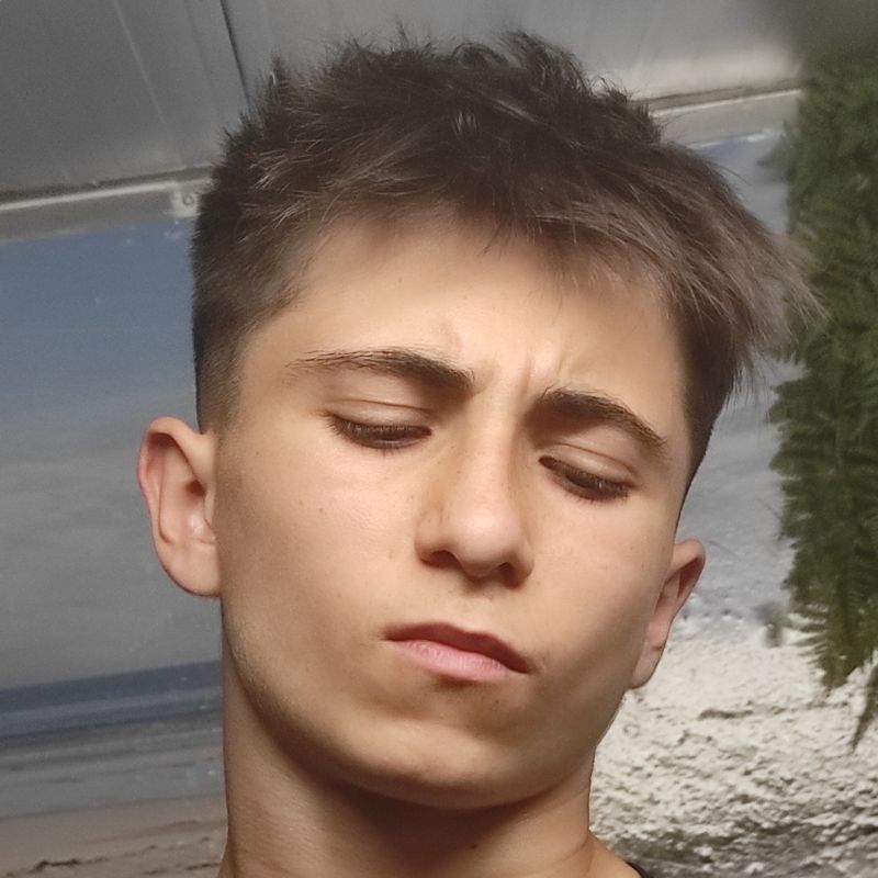 SERGIO BIERGE CAMARA