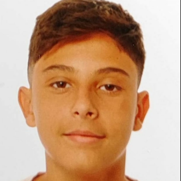 ISMAEL ARROYO FLORES