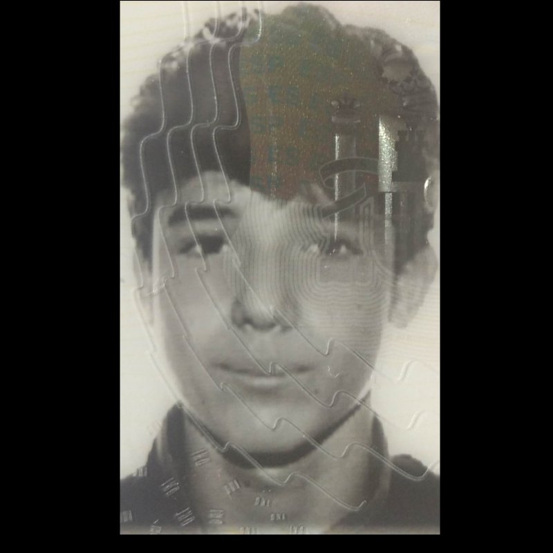 MIGUEL ZUAZO ARRIETA