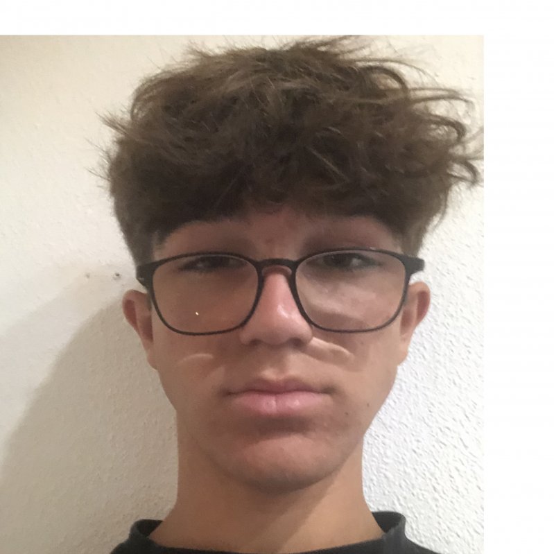 BITTOR GONZALEZ LLERA 