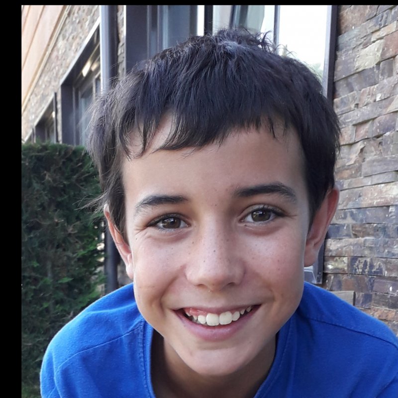 ELOI GONFAUS BELMONTE