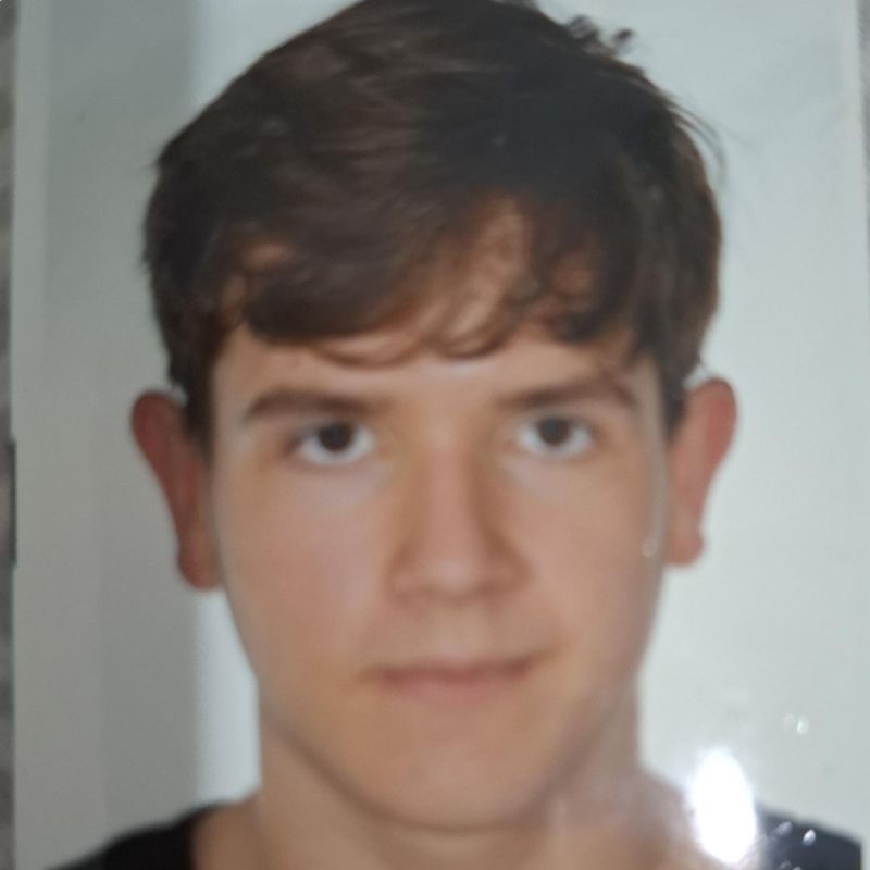 DENNIS CARRILLO MUAˌOZ