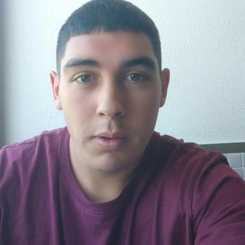 SEBASTIAN  PALOMARES JUSTINIANO 